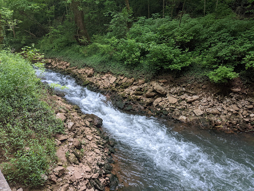 Non-Profit Organization «Lost River Cave», reviews and photos, 2818 Nashville Rd, Bowling Green, KY 42101, USA