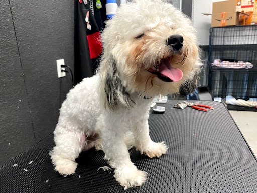 Pet Supply Store «Big Tex Feed & Pet Supply», reviews and photos, 7102 Cullen Blvd, Houston, TX 77021, USA