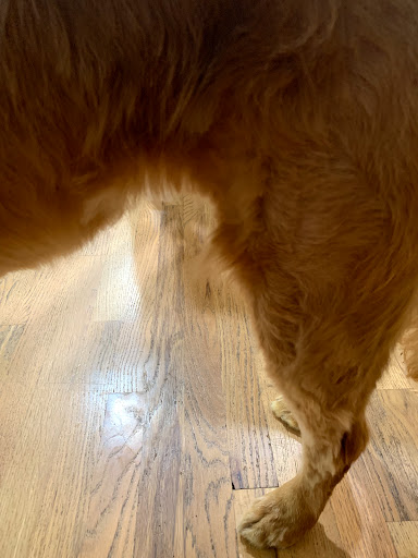 Pet Store «Pet Central», reviews and photos, 13004 SE Kent-Kangley Rd, Kent, WA 98030, USA