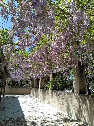 Winery «Dakotah Vineyards & Winery», reviews and photos, 14365 US-19, Chiefland, FL 32626, USA