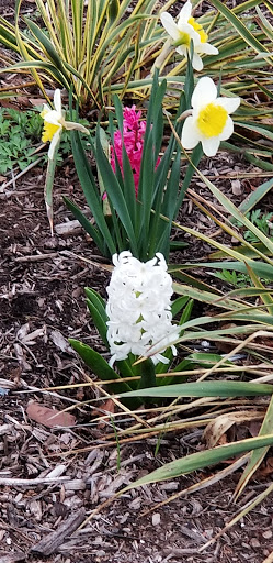 Monument «Fountain of the Dolphins», reviews and photos, 378 Sand Ln, Staten Island, NY 10305, USA