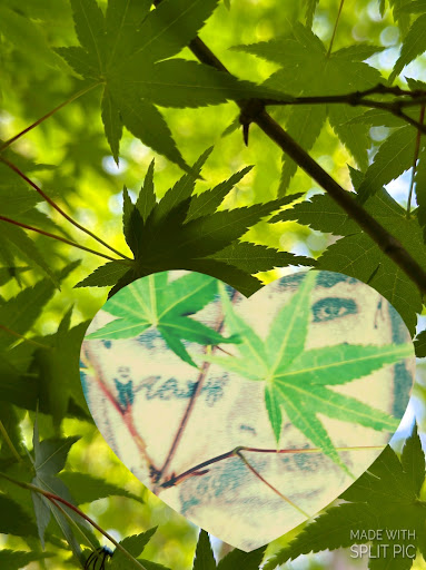 Explore tattoo ideas for a grandmother, creative tattoo ideas in Weatherford, available at TCO BEAUTY BAR & Waxing Studio Weatherford Tx