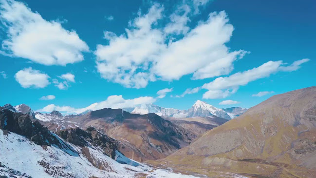 Comentarii opinii despre Bhutan Best Travel & Tour