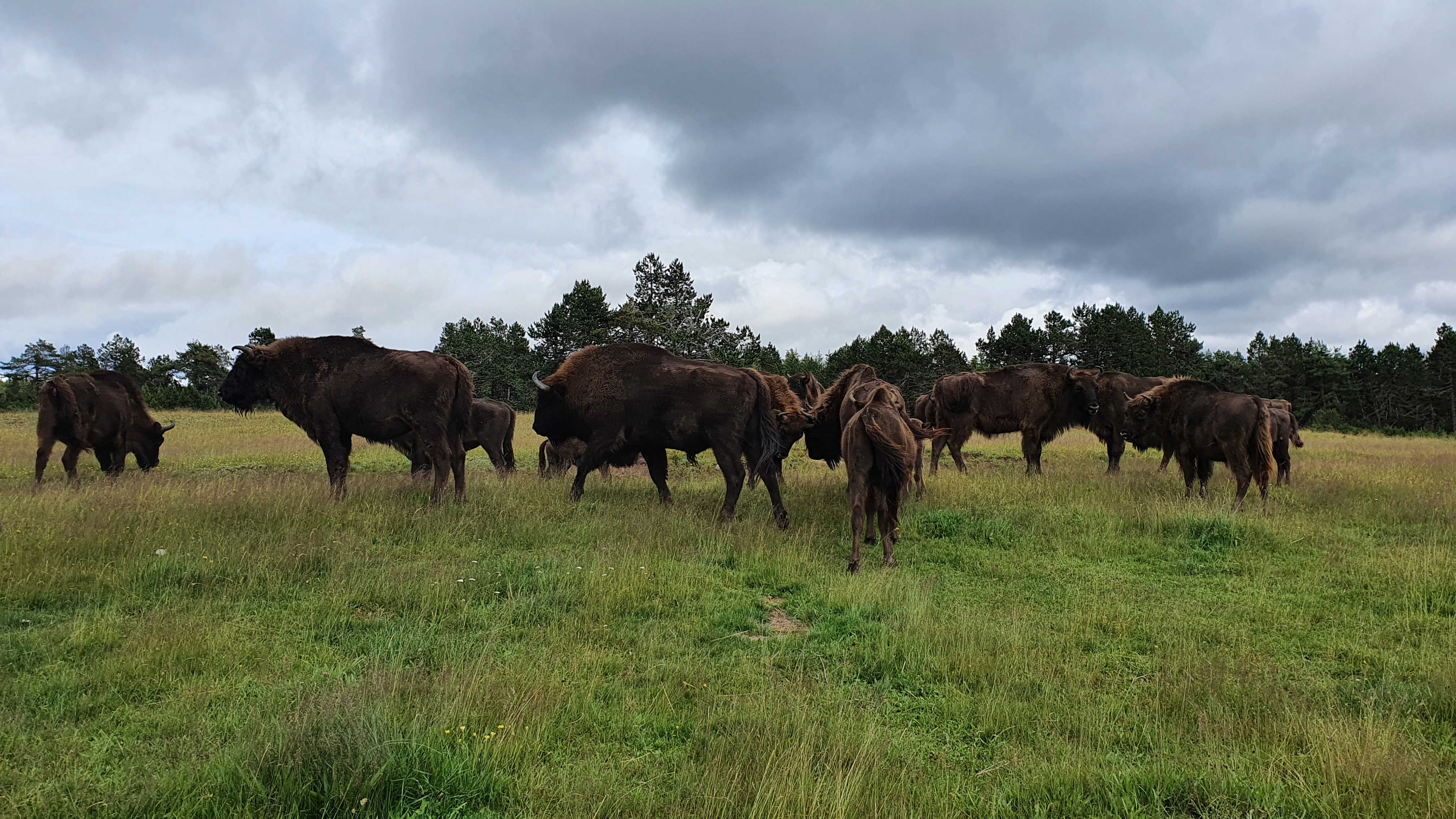 Photo n° 3 de l'avis de Laurence.a fait le 18/07/2021 à 14:38