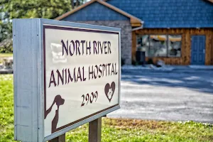 North River Animal Hospital image