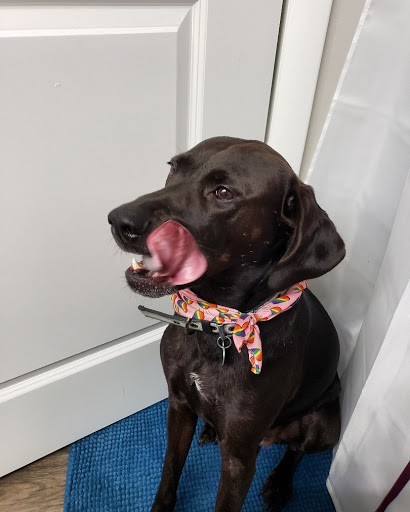 Art Museum «The Speed Art Museum», reviews and photos, 2035 S 3rd St, Louisville, KY 40208, USA