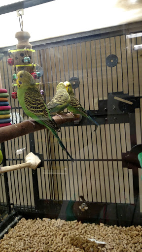 Pet Supply Store «PetSmart», reviews and photos, 3 McKenna Rd, Arden, NC 28704, USA