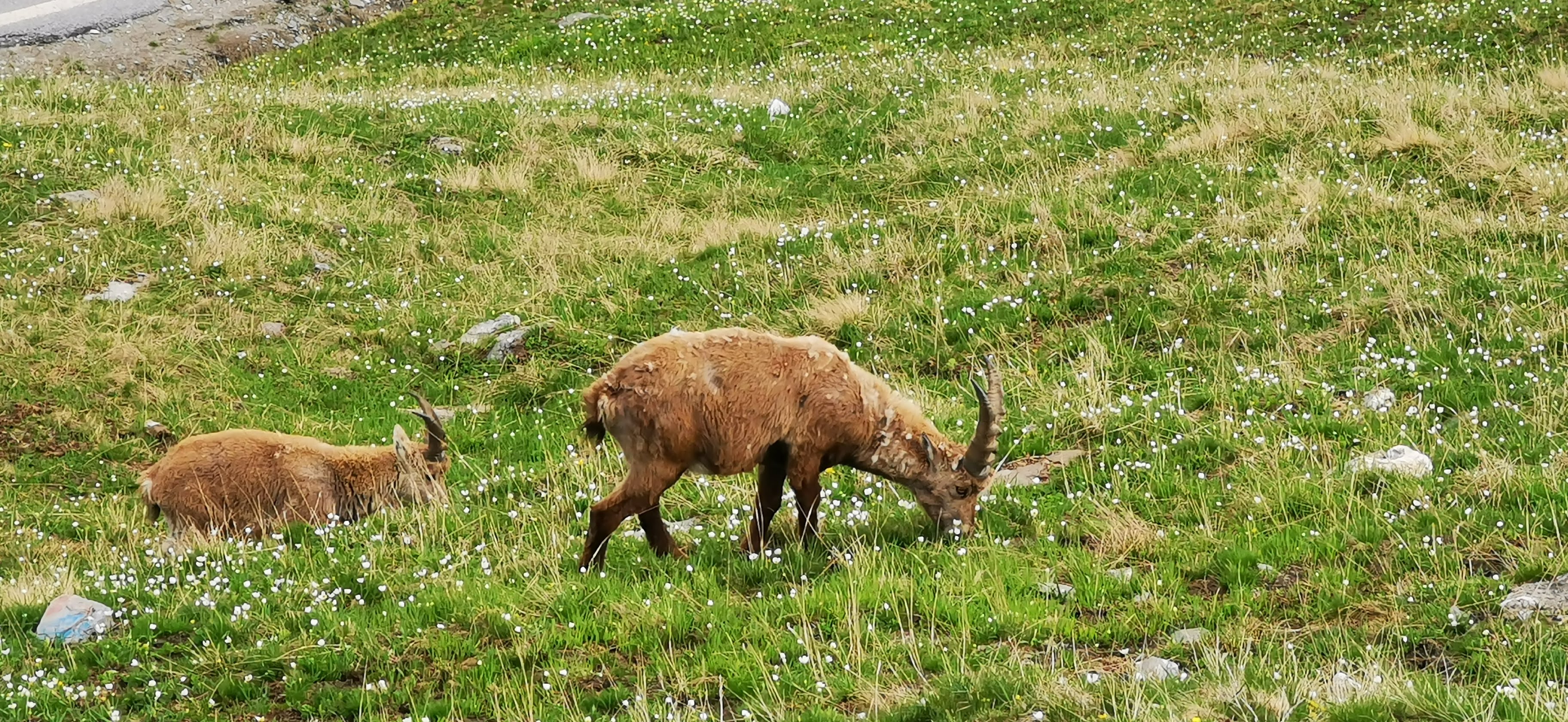 Photo n° 3 de l'avis de fablou. fait le 31/05/2022 à 11:29