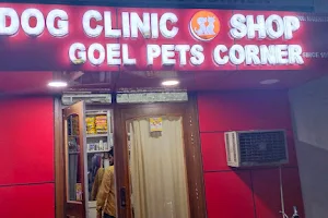 Goel Pets Corner | Dog Clinic |pet shop image