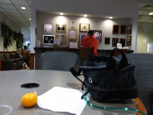 Car Dealer «Bob Penkhus Volvo Mazda Volkswagen», reviews and photos, 1101 Motor City Dr, Colorado Springs, CO 80905, USA