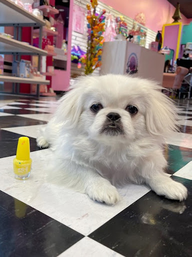 Pet Store «Animal Kingdom», reviews and photos, 4500 N Oracle Rd #254, Tucson, AZ 85705, USA