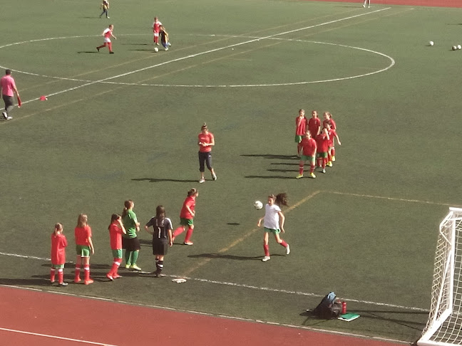 Associação De Atletismo Da Região Autónoma Da Madeira - Campo de futebol