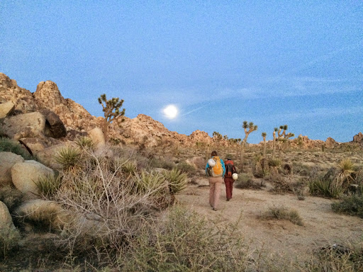 Cliffhanger Guides - Joshua Tree Rock Climbing Adventures image