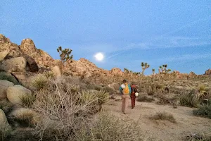 Cliffhanger Guides - Joshua Tree Rock Climbing Adventures image