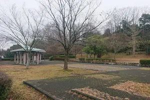 Shirakashikinrin Park image