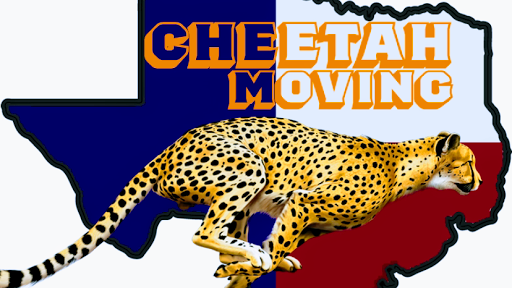 Cheetah Moving