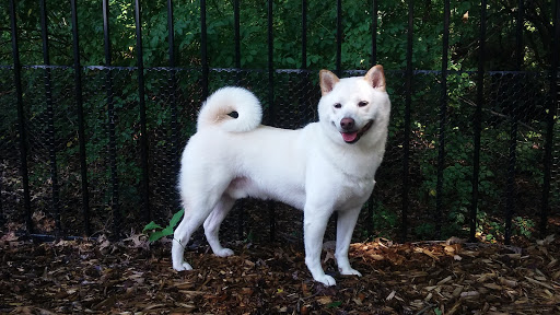 Pet Supply Store «The Hungry Puppy», reviews and photos, 1288 NJ-33, Farmingdale, NJ 07727, USA