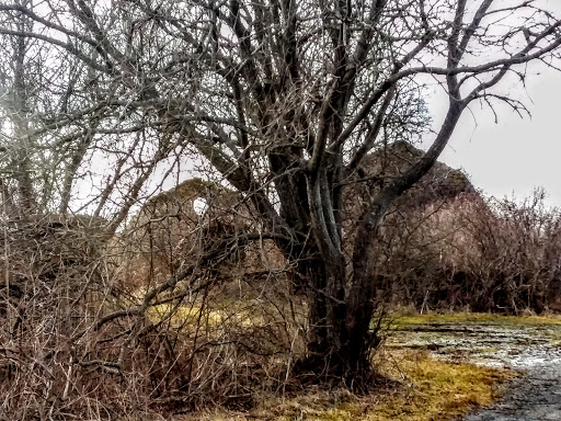 Hiking Area «Black Point Trailhead», reviews and photos, 655 Ocean Rd, Narragansett, RI 02882, USA