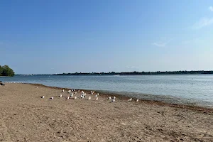 Beaver Island Beach image