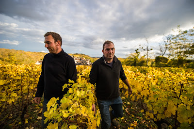 Domaine des Rabichattes à Tracy-sur-Loire