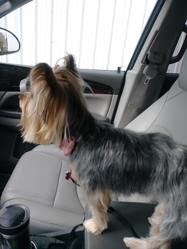 Pet Groomer «Affordable Family Pet Grooming», reviews and photos, 222 N Main St, Fond du Lac, WI 54935, USA