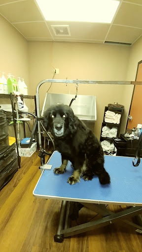 Pet Store «Pet Valu», reviews and photos, 2645 Shillington Rd, Sinking Spring, PA 19608, USA