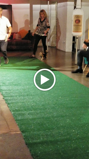 Movie Studio «Monorchid Creative Studios / Event / Wedding Venue», reviews and photos, 214 E Roosevelt St, Phoenix, AZ 85004, USA