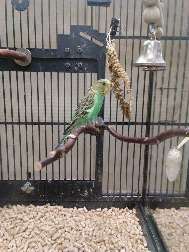 Pet Supply Store «PetSmart», reviews and photos, 2500 Posner Blvd, Davenport, FL 33837, USA