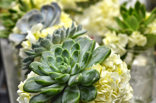 Florist «Lane Florist», reviews and photos, 6616 Snider Plaza, Dallas, TX 75205, USA