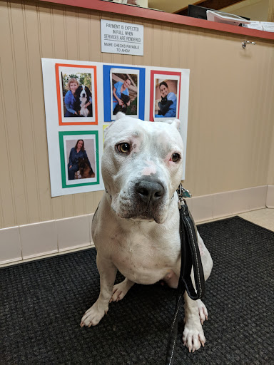 Animal Hospital of Verona