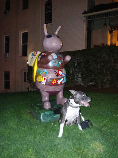 Pet Supply Store «PetSmart», reviews and photos, 5 Main St, East Hartford, CT 06118, USA