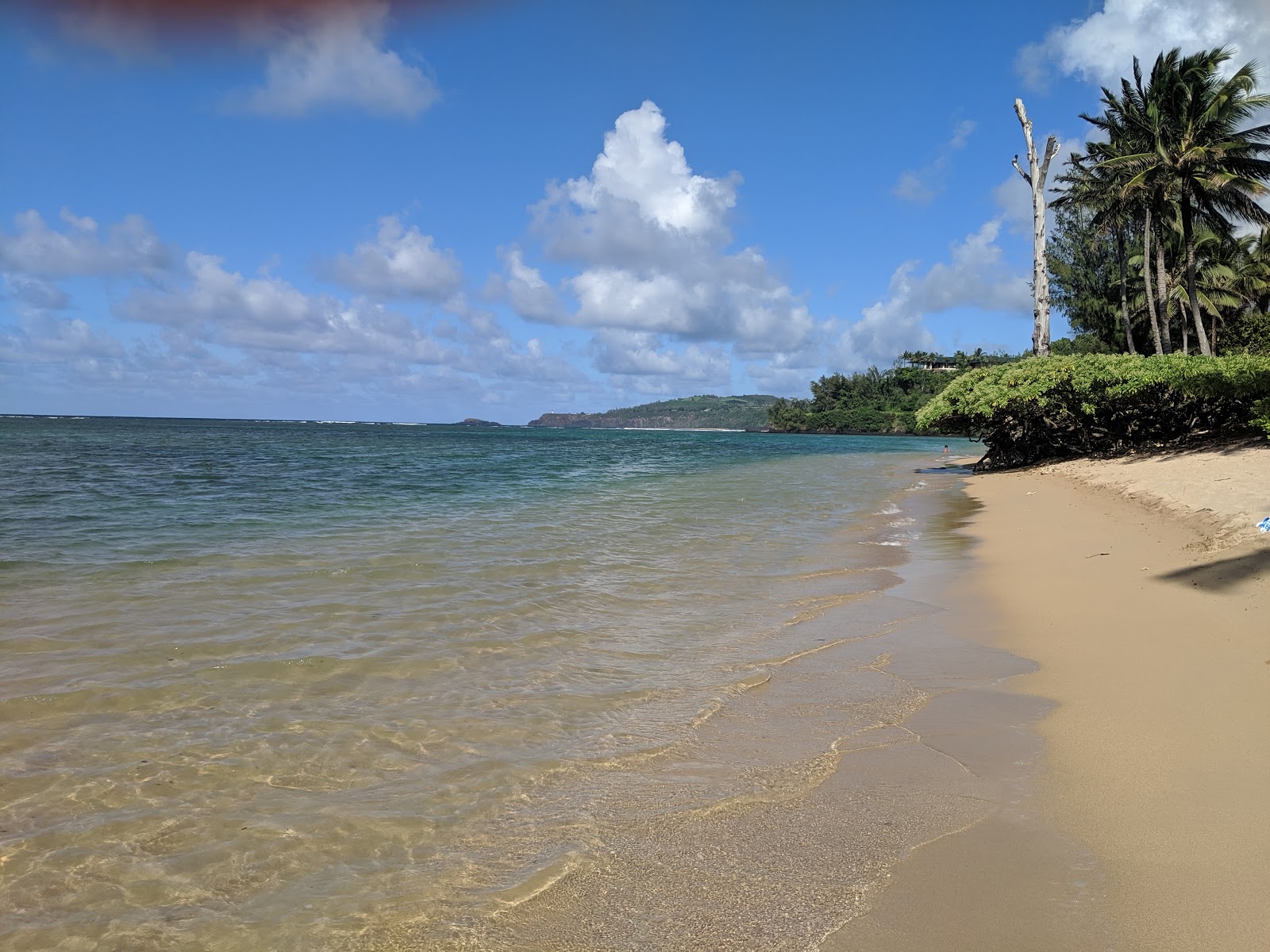 Foto van Anini Beach wilde omgeving