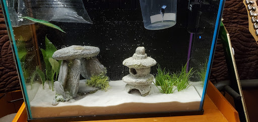 Pet Supply Store «PetSmart», reviews and photos, 1110 NY-112, Port Jefferson Station, NY 11776, USA