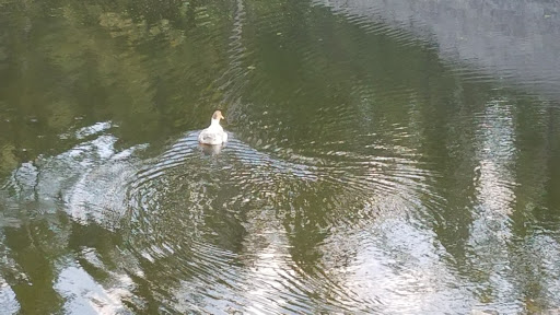 Fast Food Restaurant «Chick-fil-A», reviews and photos, 815 England St, Ashland, VA 23005, USA