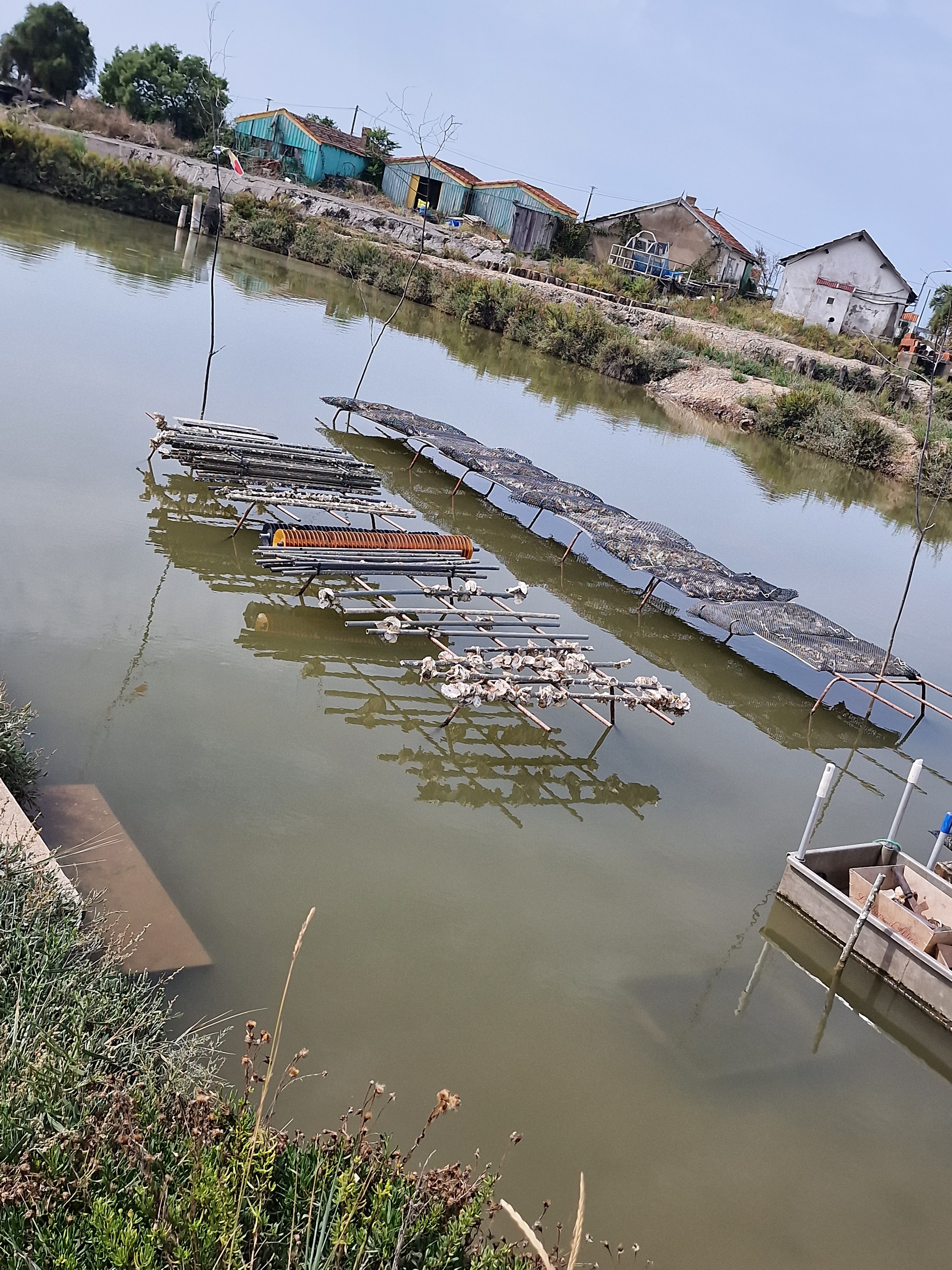 Photo n° 4 de l'avis de Martine.v fait le 09/09/2023 à 07:27