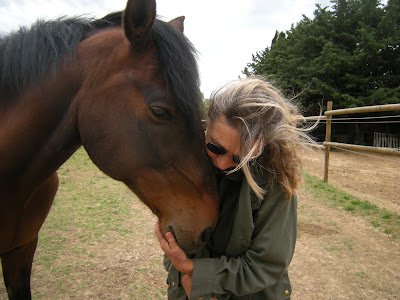 CLAIRE SHIATSU EQUIN SOMMIERES à Sommières