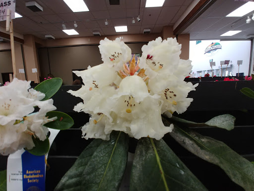 Event Venue «Florence Events Center», reviews and photos, 715 Quince St, Florence, OR 97439, USA