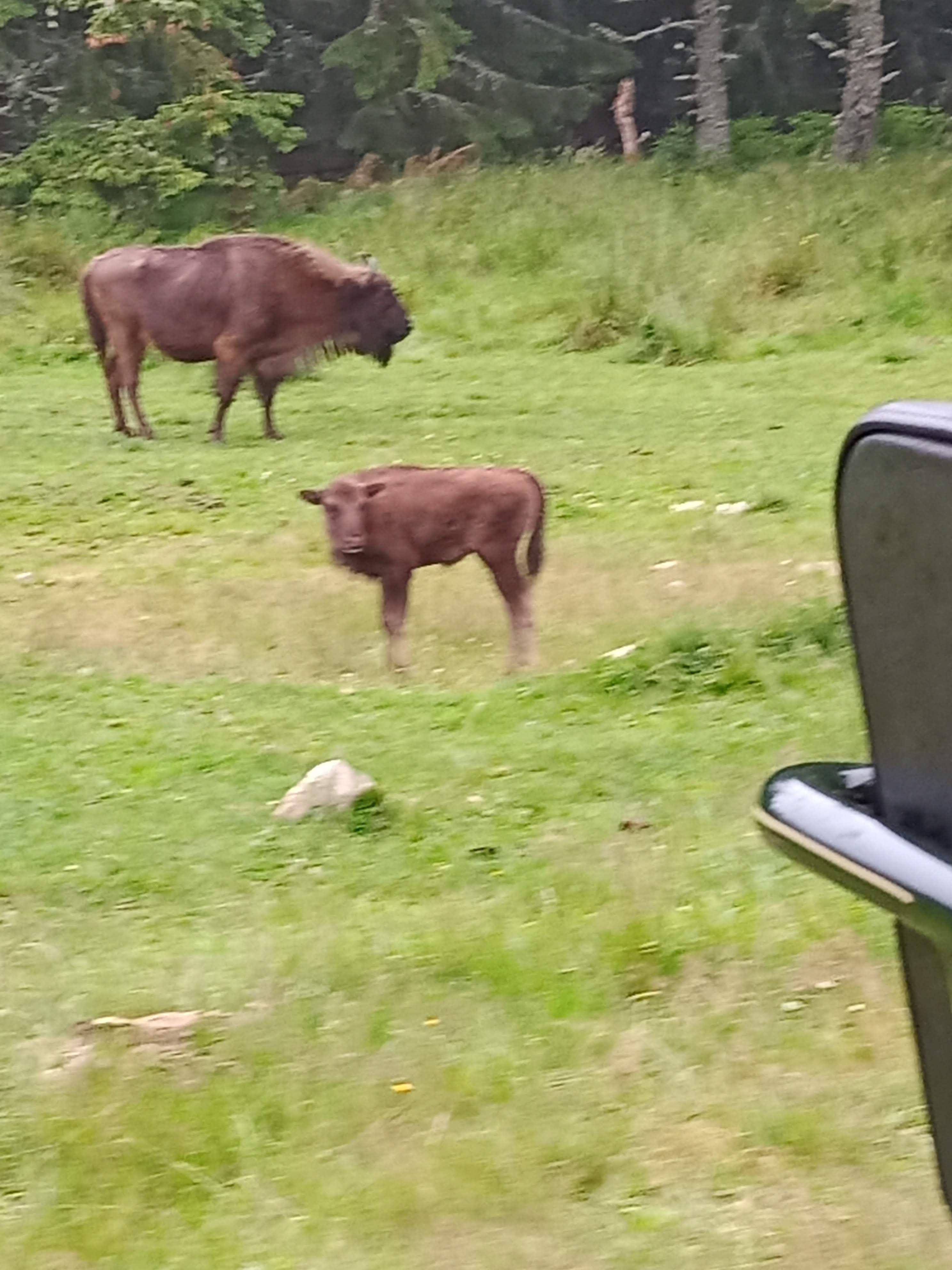 Photo n° 15 de l'avis de Marj.a fait le 18/07/2021 à 21:04