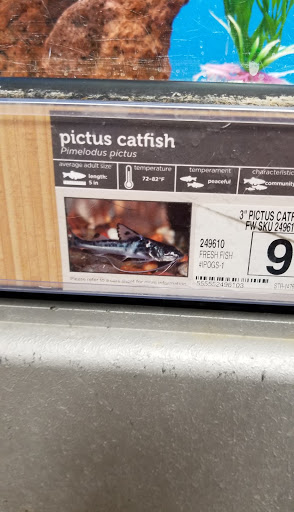 Pet Supply Store «Petco Animal Supplies», reviews and photos, 3055 N President George Bush Hwy, Garland, TX 75040, USA