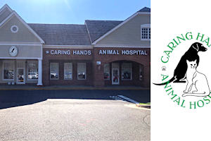 Caring Hands Animal Hospital - Centreville image