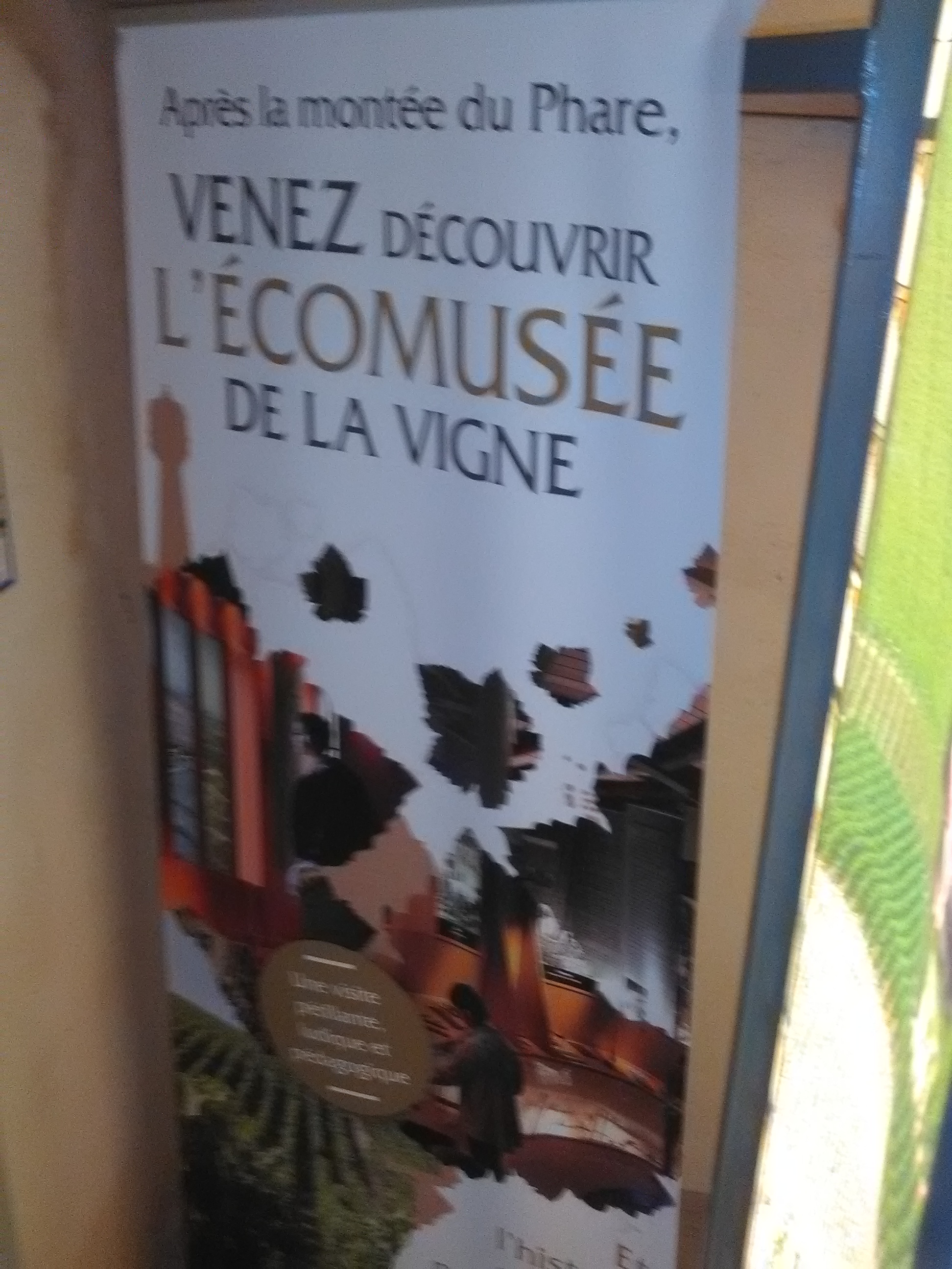 Photo n° 28 de l'avis de Athéna.e fait le 15/08/2017 à 06:29