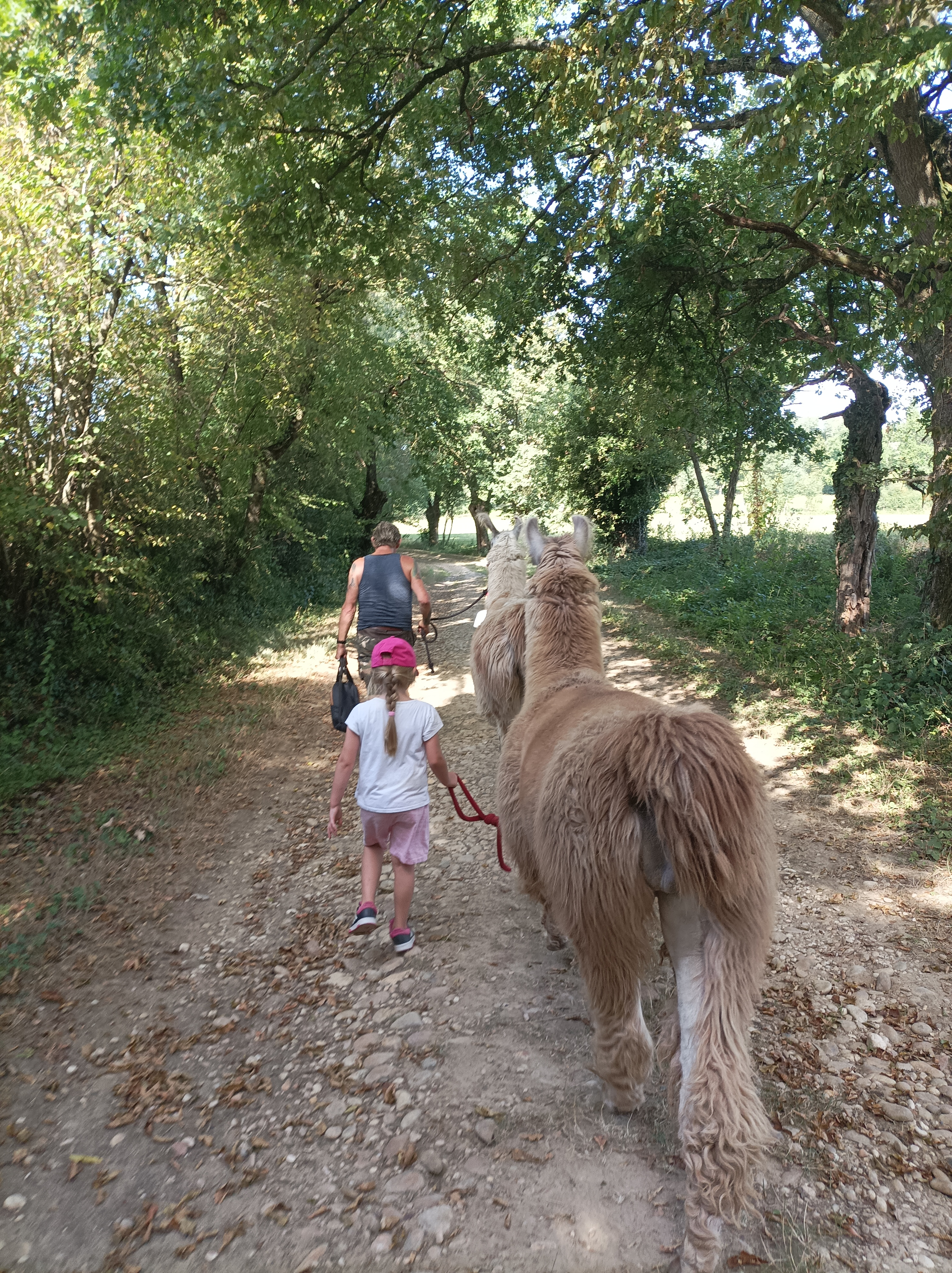 Photo n° 2 de l'avis de Famille.A fait le 23/08/2023 à 19:47