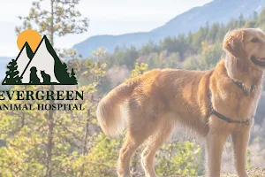 Evergreen Animal Hospital image