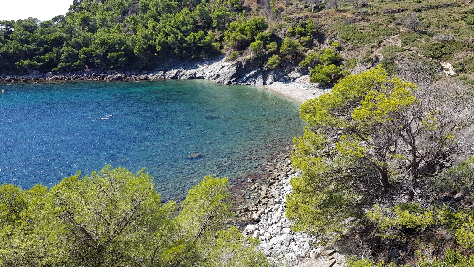 Platja Cala Murtra的照片 带有小海湾