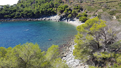 Foto di Platja Cala Murtra con abbastanza pulita livello di pulizia