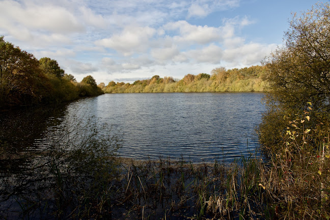 Reviews of Whisby Nature Park in Lincoln - Other