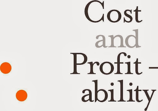 Cost and Profitability Consulting