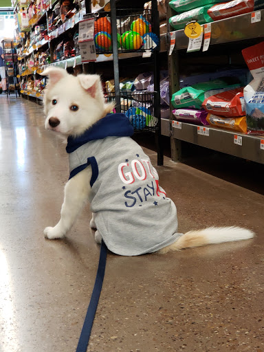 Pet Supply Store «Pet Supplies Plus», reviews and photos, 1704 Greenville Ave, Dallas, TX 75206, USA