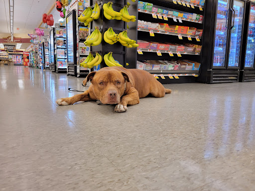 Supermarket «Super Stop & Shop», reviews and photos, 19 Howley St, Peabody, MA 01960, USA