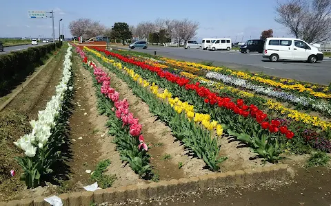 Otonehigashi Park image